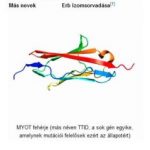 izomsorvadas-239×300